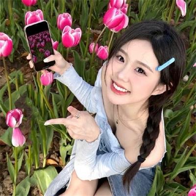 哈莱姆的郁金香 海报